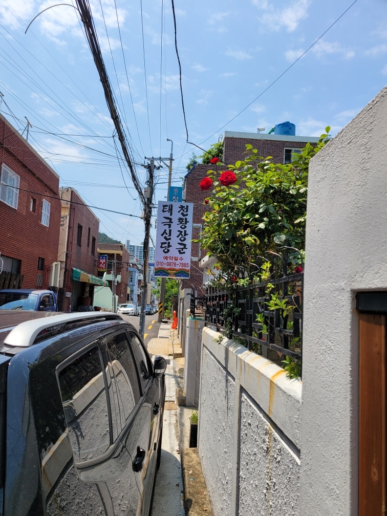2950055133_B7u4AKDi_61a7fbf906bc4d94c553d269f321e2e5d6e85376.jpg 이미지크게보기